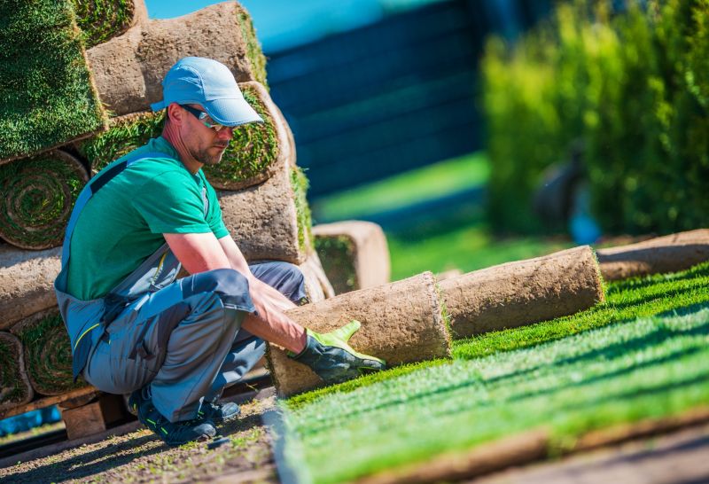 Grass Installation in Ventura County, CA