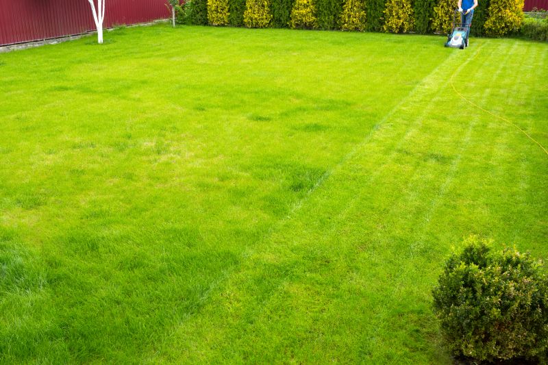 Ongoing Lawn Care
