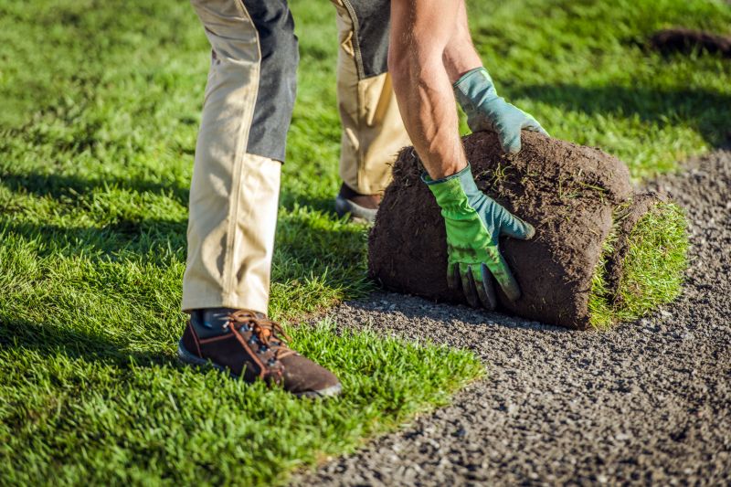 Professional Sod Laying