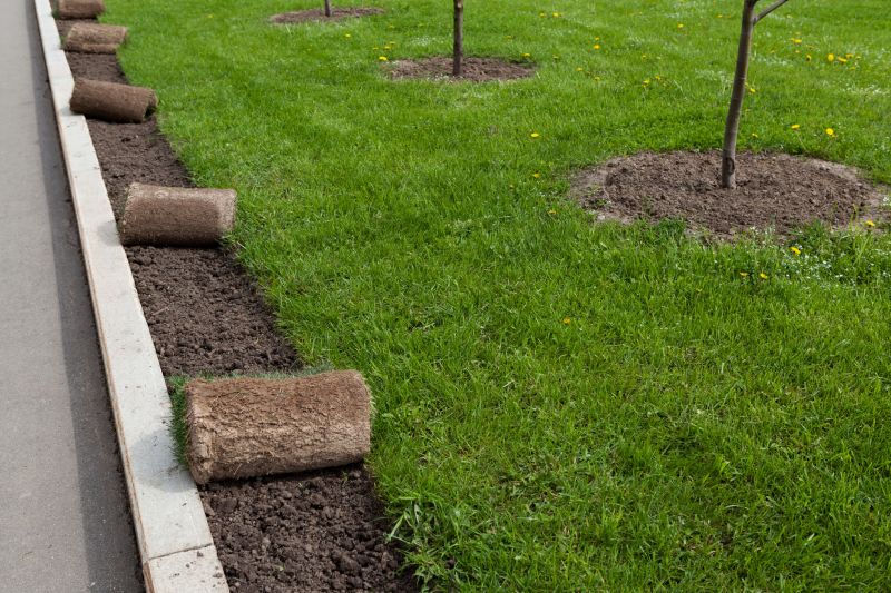Sod Installation in Honolulu, HI