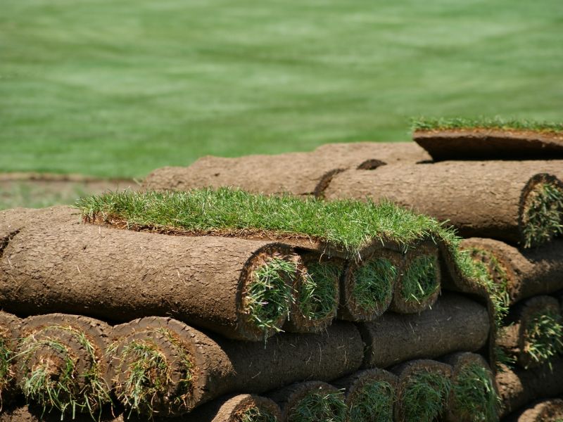 Sod Landscaping