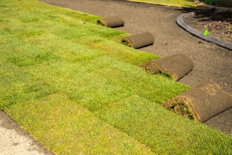 Why Sod Installation Is The Fastest Way To A Green Lawn