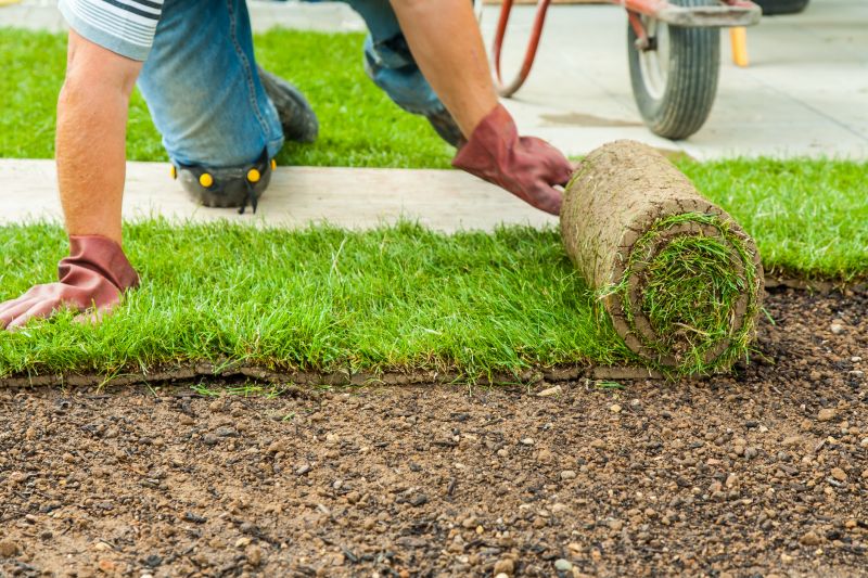 Contact About Commercial Sod Installation