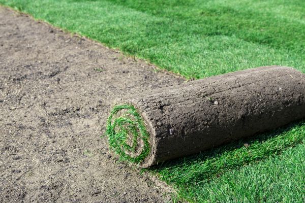 Commercial Sod Installation Service